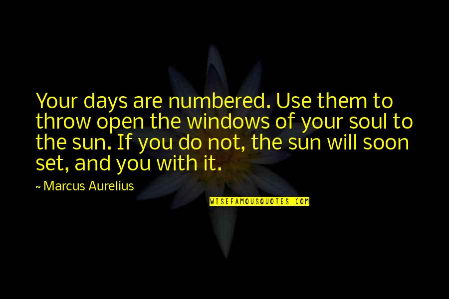Giving Your Soul Quotes By Marcus Aurelius: Your days are numbered. Use them to throw