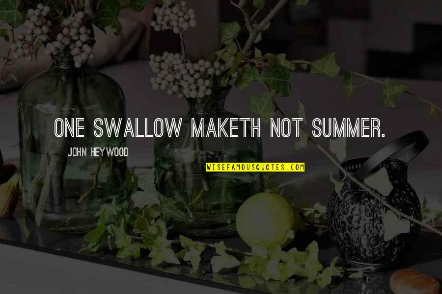 Gjaldtaka Quotes By John Heywood: One swallow maketh not summer.