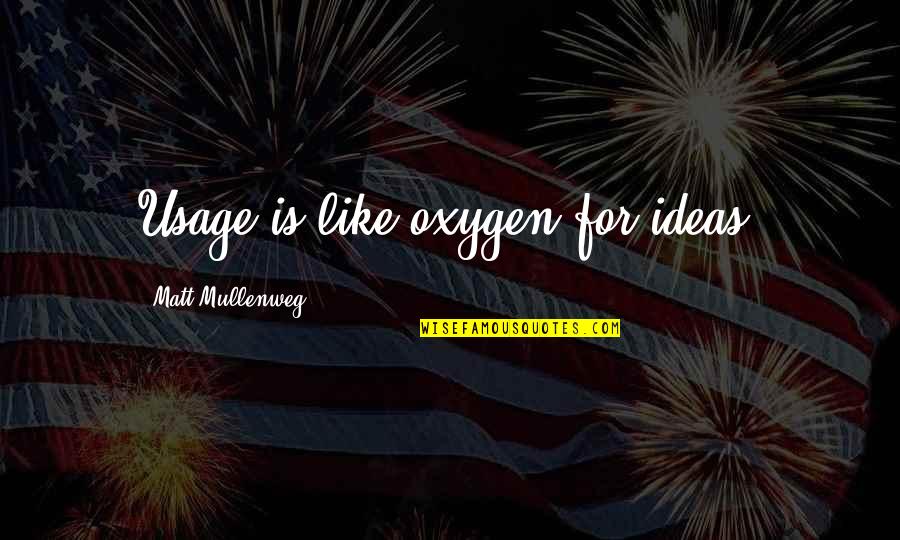 Glacedonions Quotes By Matt Mullenweg: Usage is like oxygen for ideas.