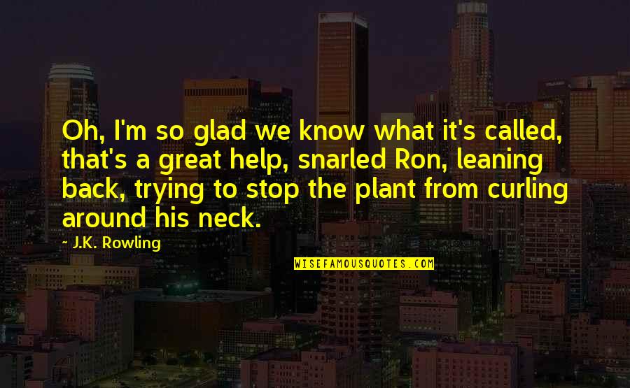 Glad I Know You Quotes By J.K. Rowling: Oh, I'm so glad we know what it's Glad I Know You Quotes By J.K. Rowling: Oh, I'm so glad we know what it's