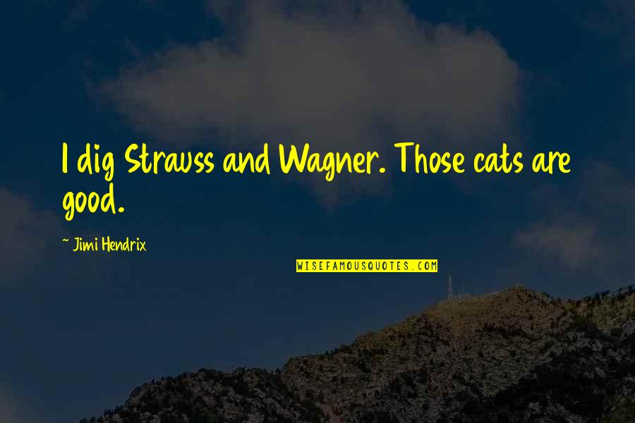 Glad She Is Gone Quotes By Jimi Hendrix: I dig Strauss and Wagner. Those cats are Glad She Is Gone Quotes By Jimi Hendrix: I dig Strauss and Wagner. Those cats are