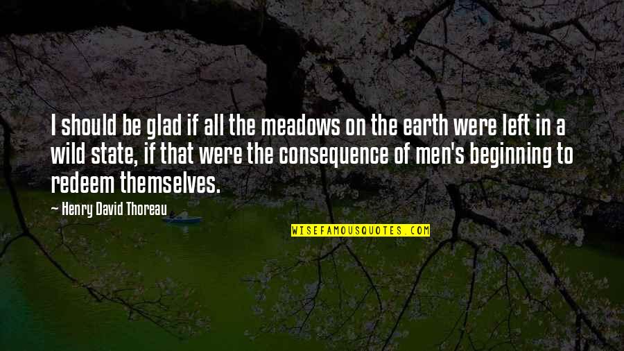Glad You Left Quotes By Henry David Thoreau: I should be glad if all the meadows