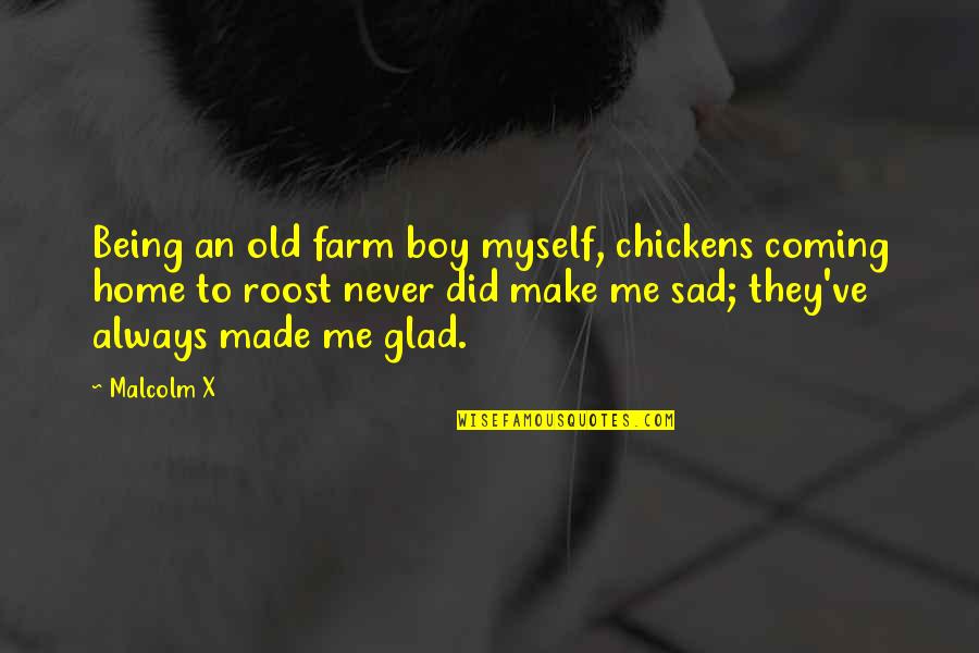 Glad You're Coming Home Quotes By Malcolm X: Being an old farm boy myself, chickens coming