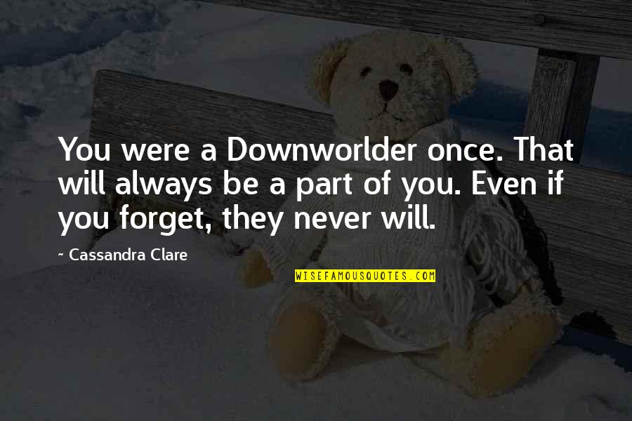 Glamorizes Quotes By Cassandra Clare: You were a Downworlder once. That will always
