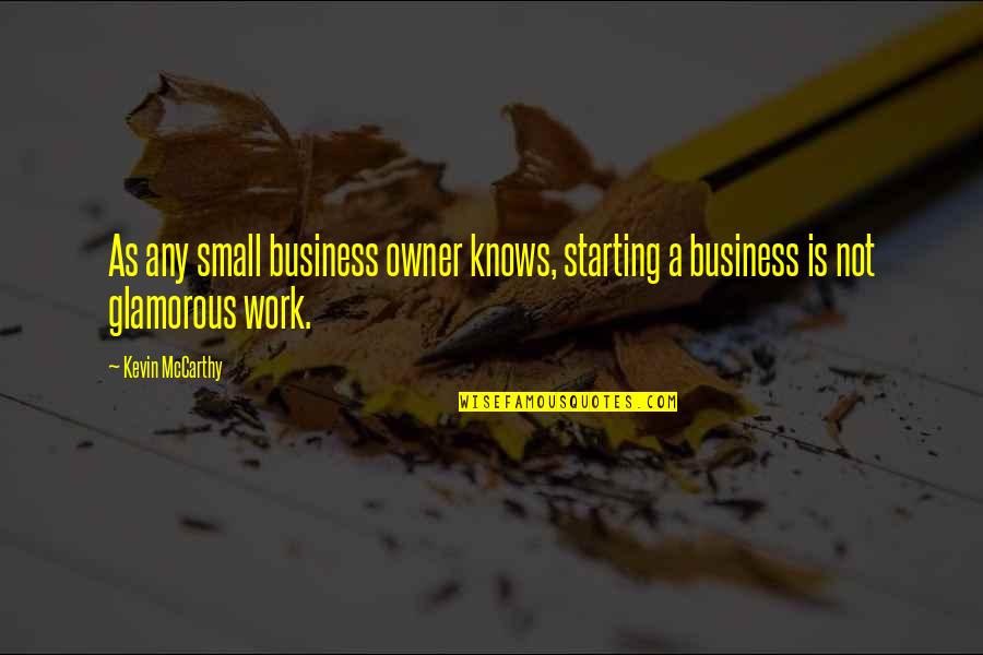 Glamorous Quotes By Kevin McCarthy: As any small business owner knows, starting a