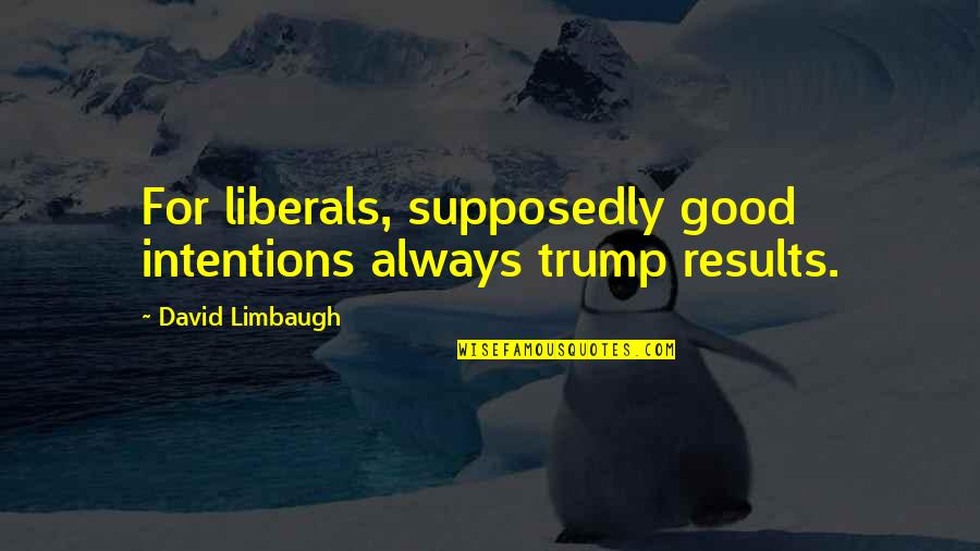 Glamurosa Faja Quotes By David Limbaugh: For liberals, supposedly good intentions always trump results.