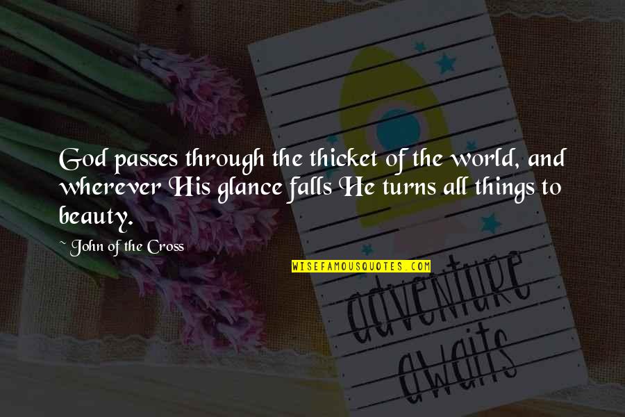 Glance Quotes By John Of The Cross: God passes through the thicket of the world,