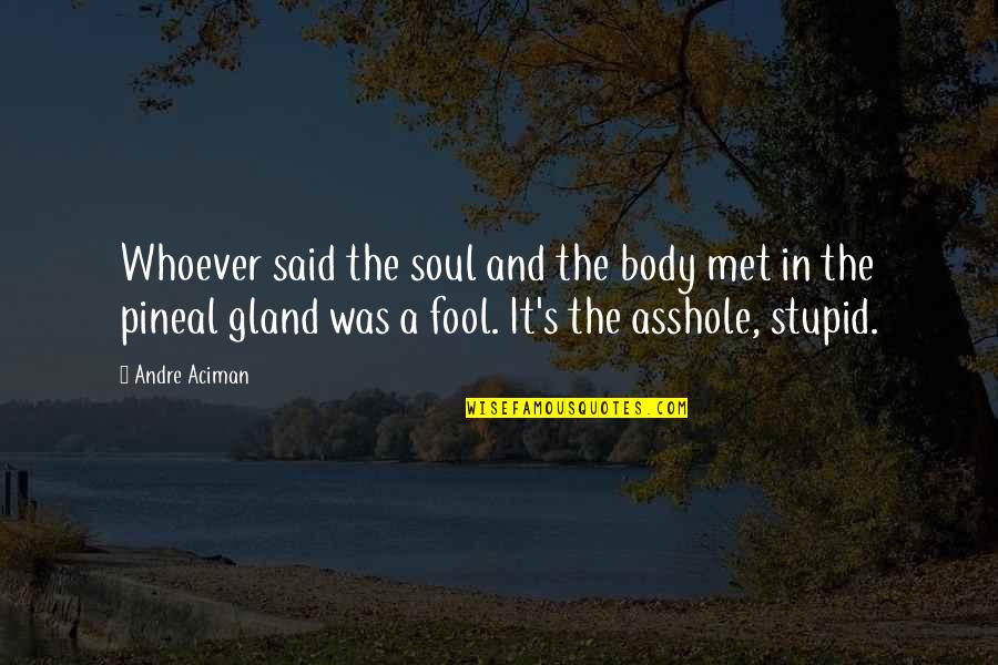 Gland Quotes By Andre Aciman: Whoever said the soul and the body met