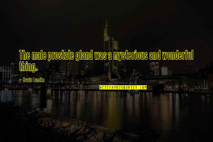 Gland Quotes By Travis Luedke: The male prostate gland was a mysterious and