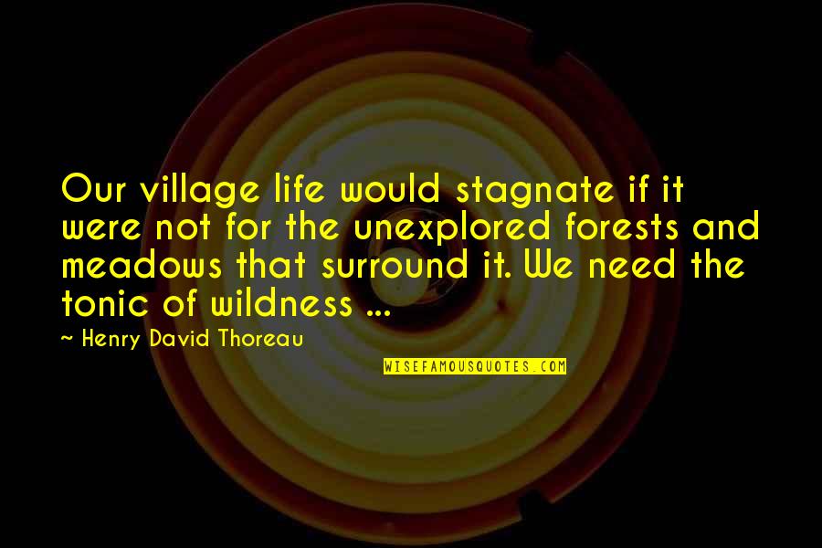 Glass Buildings Quotes By Henry David Thoreau: Our village life would stagnate if it were