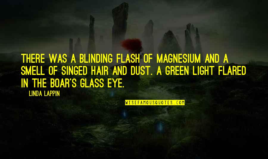 Glass Eye Quotes By Linda Lappin: There was a blinding flash of magnesium and