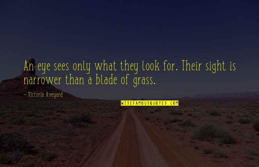 Glass Eye Quotes By Victoria Aveyard: An eye sees only what they look for.