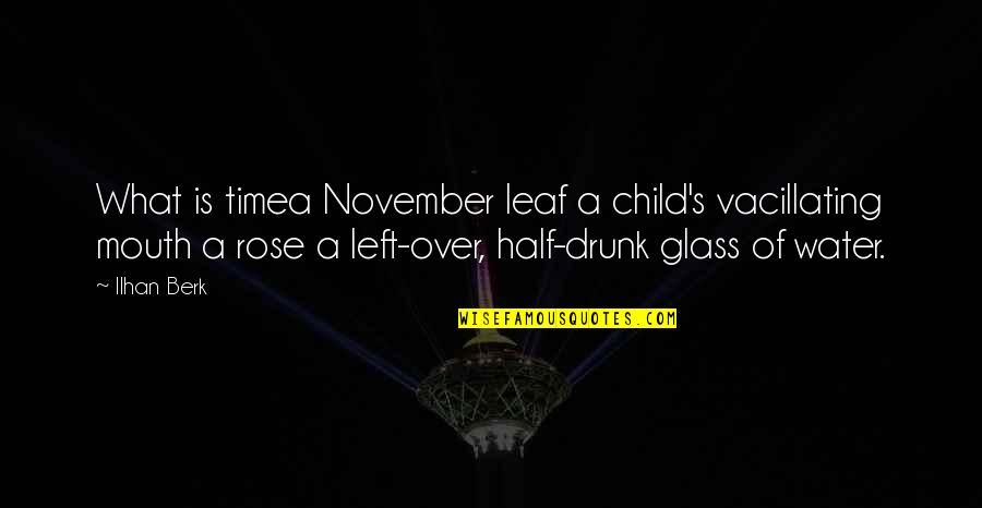 Glass Half Quotes By Ilhan Berk: What is timea November leaf a child's vacillating