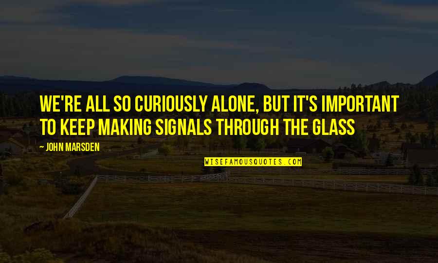 Glass Making Quotes By John Marsden: We're all so curiously alone, but it's important