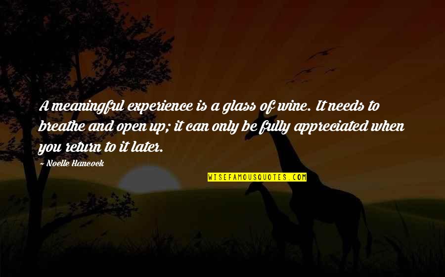 Glass Of Wine Quotes By Noelle Hancock: A meaningful experience is a glass of wine.