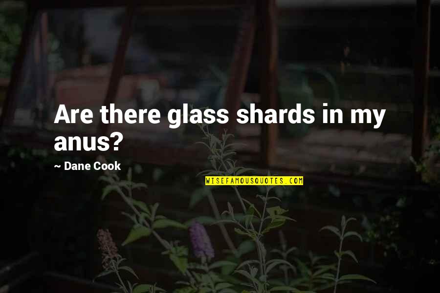 Glass Shards Quotes By Dane Cook: Are there glass shards in my anus?