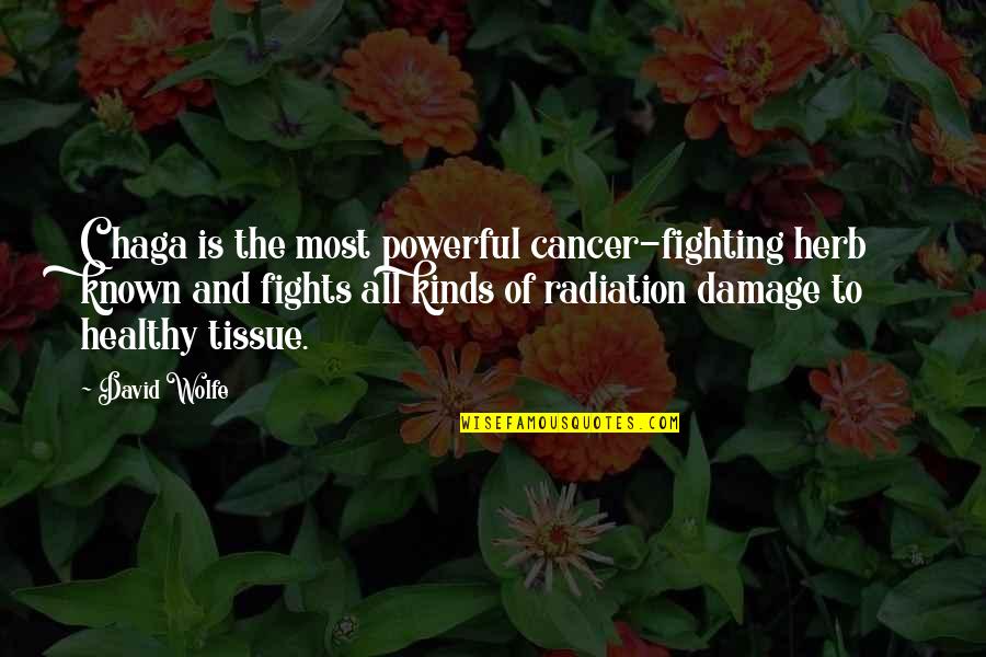 Glasses And Style Quotes By David Wolfe: Chaga is the most powerful cancer-fighting herb known