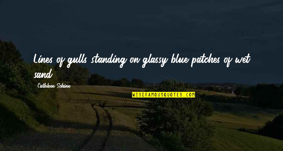 Glassy Quotes By Cathleen Schine: Lines of gulls standing on glassy blue patches