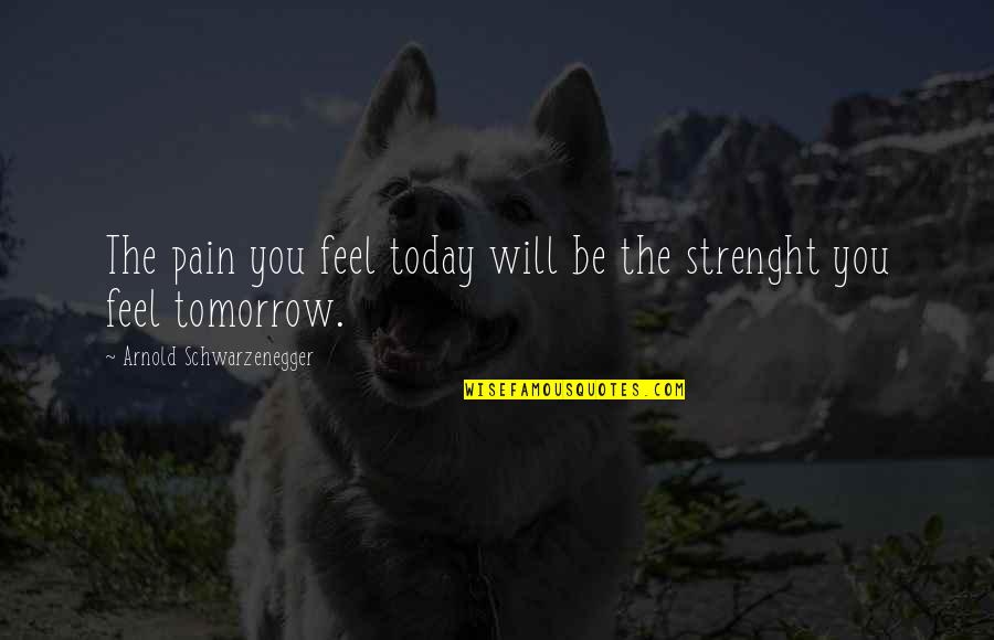 Glatis Song Quotes By Arnold Schwarzenegger: The pain you feel today will be the