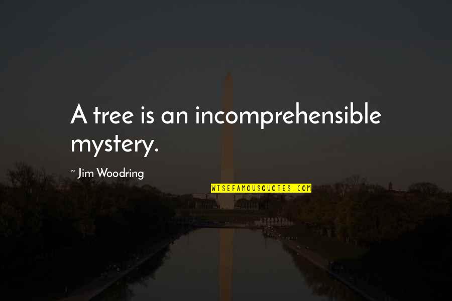 Glazy Days Quotes By Jim Woodring: A tree is an incomprehensible mystery.