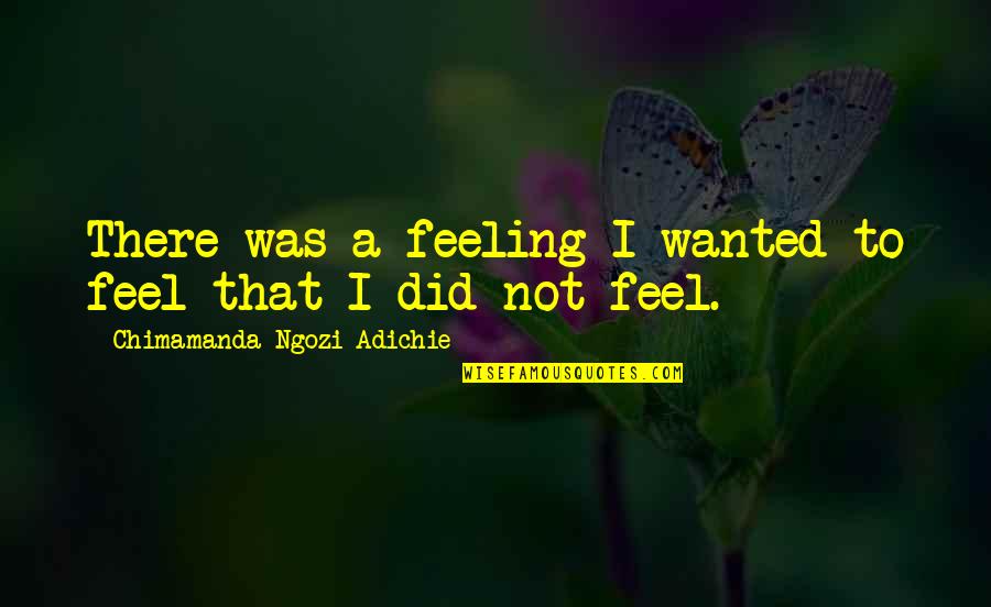 Glbt History Quotes By Chimamanda Ngozi Adichie: There was a feeling I wanted to feel