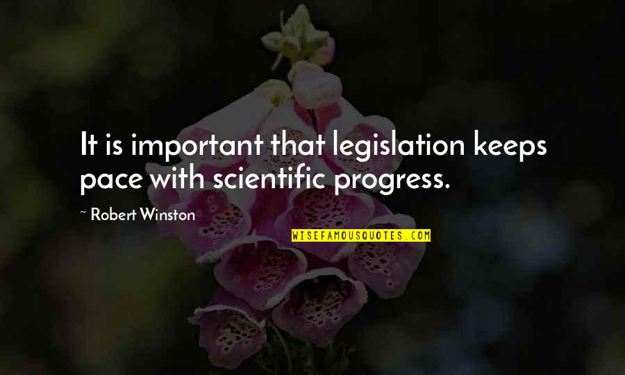 Gldrawelements Quotes By Robert Winston: It is important that legislation keeps pace with