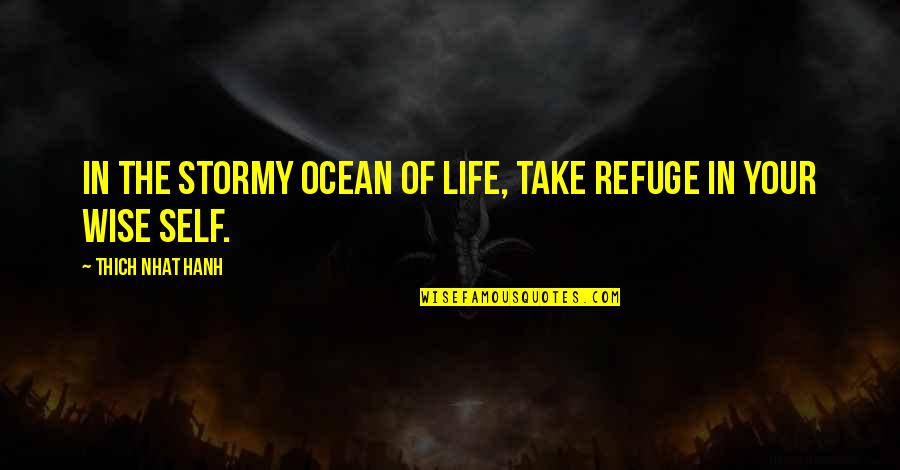 Glee Born This Way Quotes By Thich Nhat Hanh: In the stormy ocean of life, take refuge