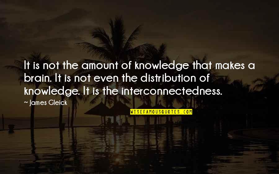 Gleick Quotes By James Gleick: It is not the amount of knowledge that