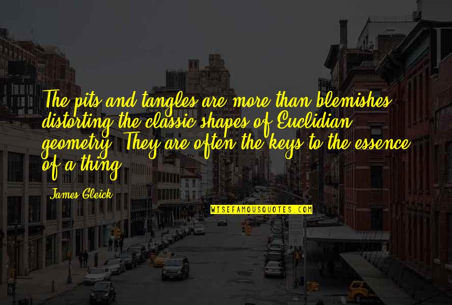 Gleick Quotes By James Gleick: The pits and tangles are more than blemishes Gleick Quotes By James Gleick: The pits and tangles are more than blemishes