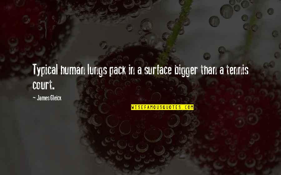 Gleick Quotes By James Gleick: Typical human lungs pack in a surface bigger