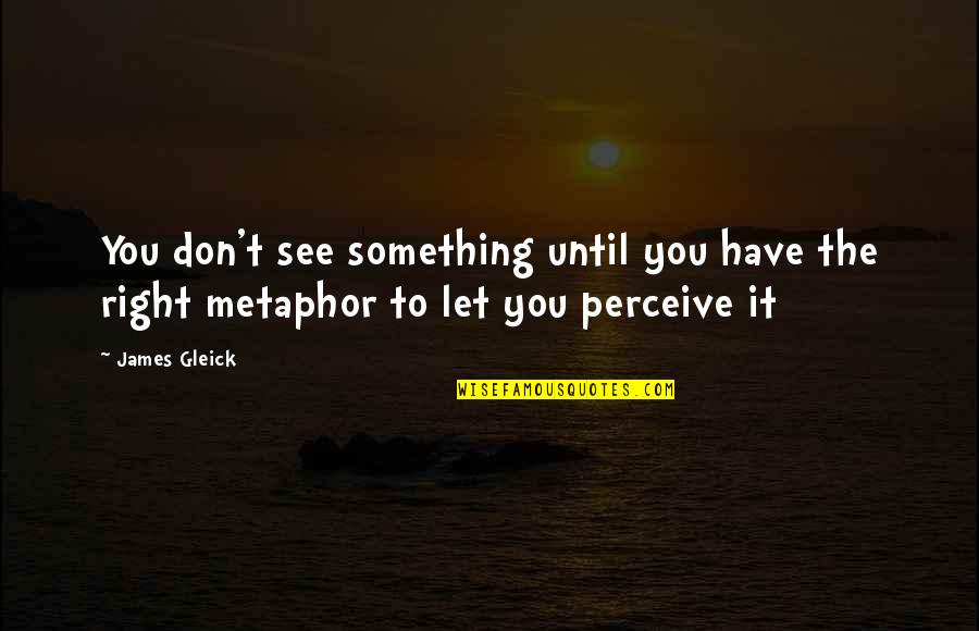 Gleick Quotes By James Gleick: You don't see something until you have the