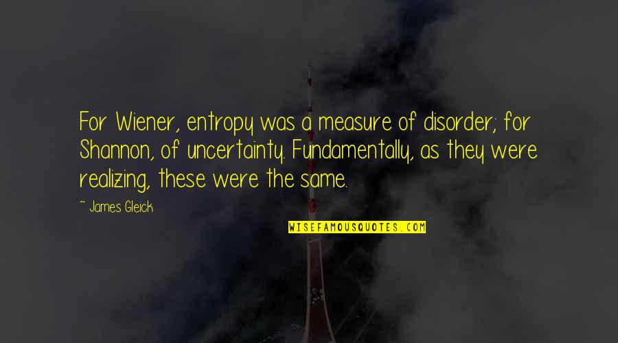 Gleick Quotes By James Gleick: For Wiener, entropy was a measure of disorder;