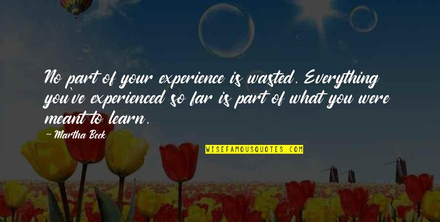 Glen Plake Quotes By Martha Beck: No part of your experience is wasted. Everything