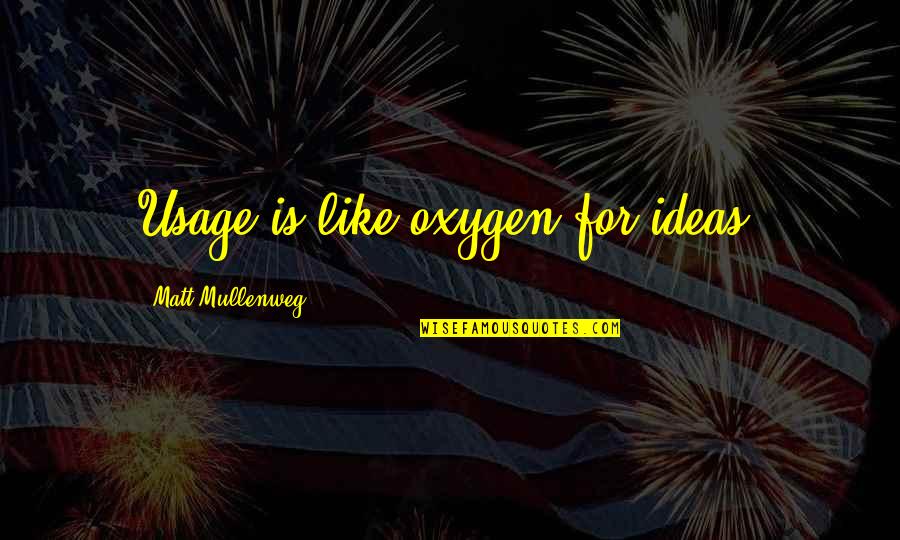 Glenbrooke Quotes By Matt Mullenweg: Usage is like oxygen for ideas.