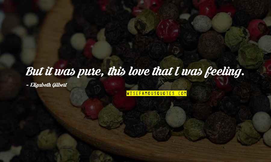 Glenford Quotes By Elizabeth Gilbert: But it was pure, this love that I