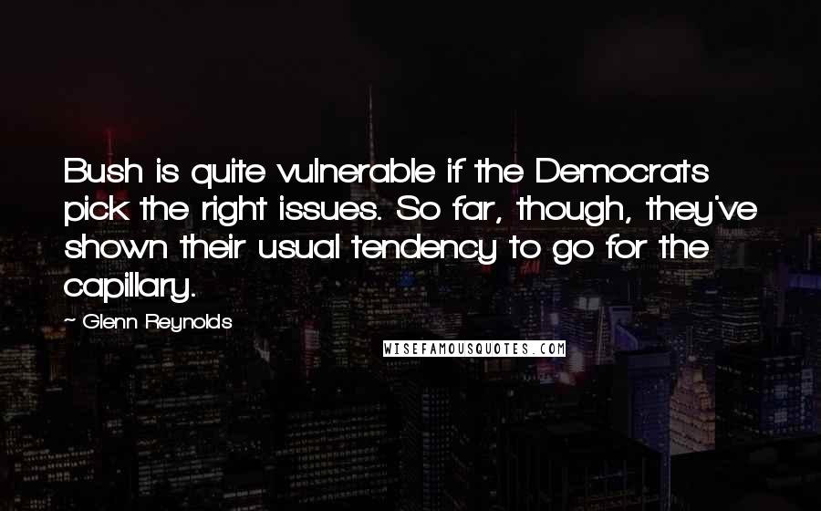 Glenn Reynolds quotes: Bush is quite vulnerable if the Democrats pick the right issues. So far, though, they've shown their usual tendency to go for the capillary.