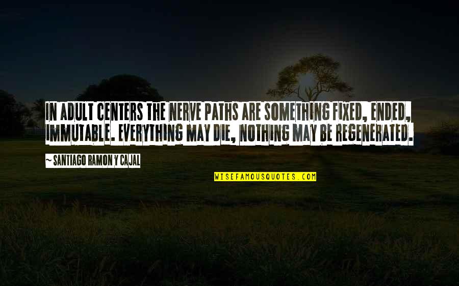 Glera Quotes By Santiago Ramon Y Cajal: In adult centers the nerve paths are something Glera Quotes By Santiago Ramon Y Cajal: In adult centers the nerve paths are something