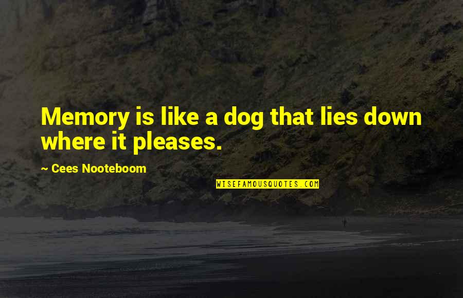 Glimmers Tour Quotes By Cees Nooteboom: Memory is like a dog that lies down Glimmers Tour Quotes By Cees Nooteboom: Memory is like a dog that lies down