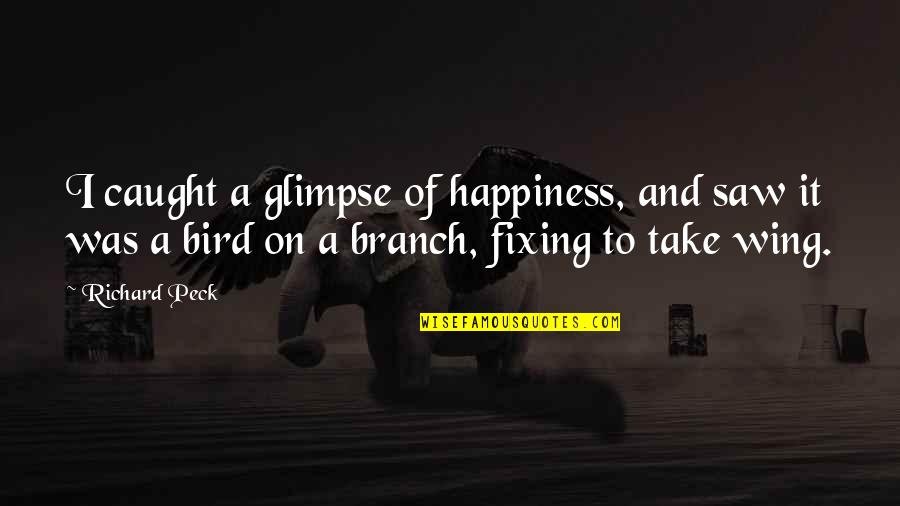 Glimpse Of Happiness Quotes By Richard Peck: I caught a glimpse of happiness, and saw