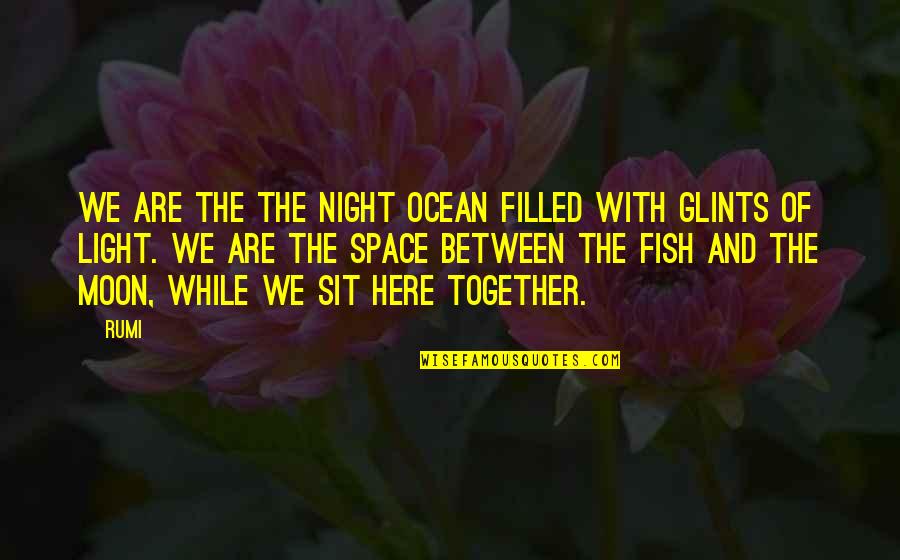 Glints Quotes By Rumi: We are the the night ocean filled with