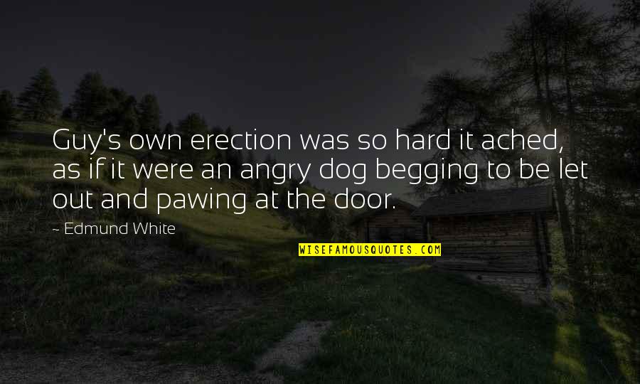 Glisser Synonyme Quotes By Edmund White: Guy's own erection was so hard it ached, Glisser Synonyme Quotes By Edmund White: Guy's own erection was so hard it ached,