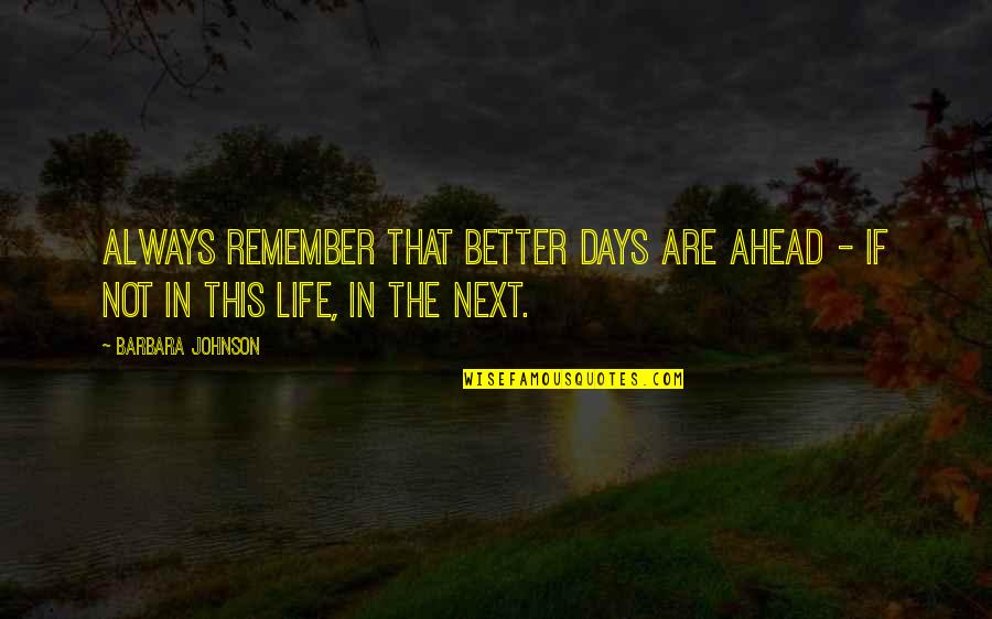 Global Village Quotes By Barbara Johnson: Always remember that better days are ahead -