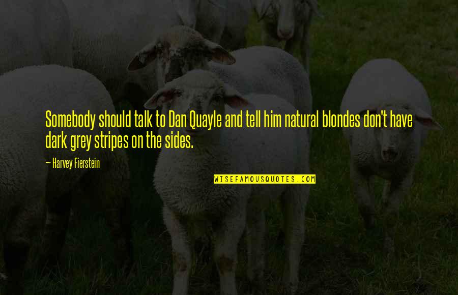 Glockenspiel New Ulm Quotes By Harvey Fierstein: Somebody should talk to Dan Quayle and tell Glockenspiel New Ulm Quotes By Harvey Fierstein: Somebody should talk to Dan Quayle and tell