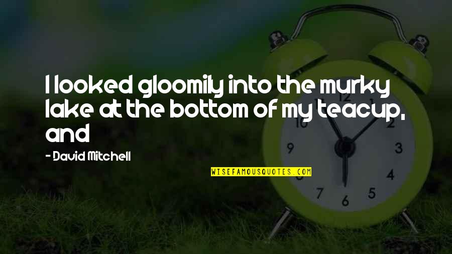 Gloomily Quotes By David Mitchell: I looked gloomily into the murky lake at