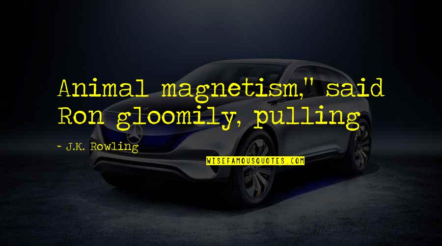 Gloomily Quotes By J.K. Rowling: Animal magnetism," said Ron gloomily, pulling Gloomily Quotes By J.K. Rowling: Animal magnetism," said Ron gloomily, pulling
