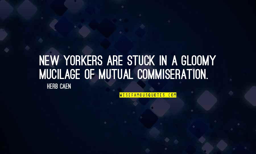 Gloomy Quotes By Herb Caen: New Yorkers are stuck in a gloomy mucilage