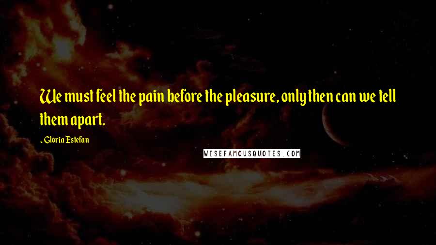 Gloria Estefan quotes: We must feel the pain before the pleasure, only then can we tell them apart.