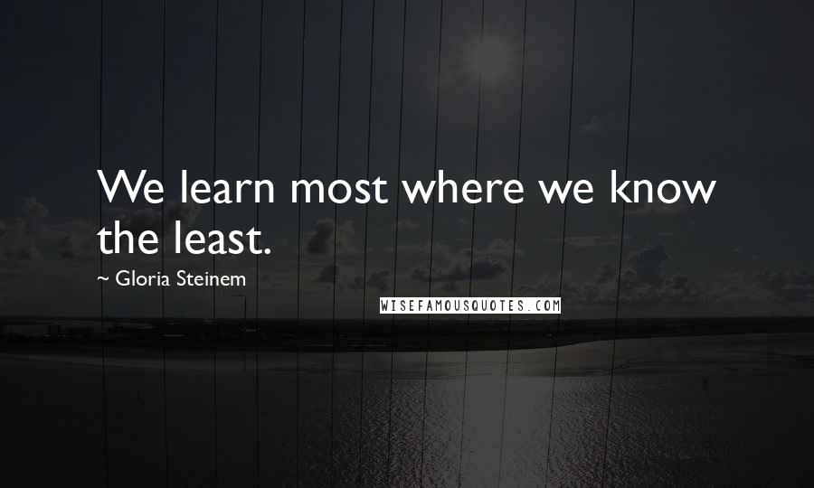 Gloria Steinem quotes: We learn most where we know the least. Gloria Steinem quotes: We learn most where we know the least.