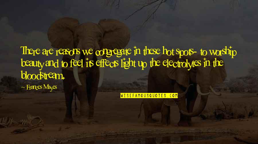 Glorietta Quotes By Frances Mayes: There are reasons we congregate in these hot Glorietta Quotes By Frances Mayes: There are reasons we congregate in these hot
