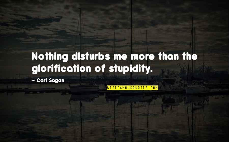 Glorification Quotes By Carl Sagan: Nothing disturbs me more than the glorification of